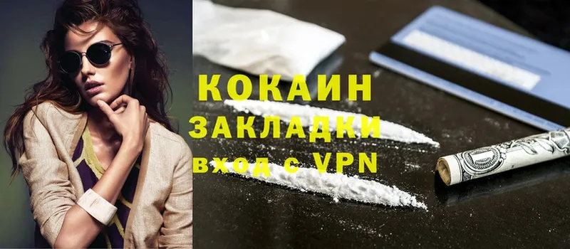 darknet как зайти  Заволжье  Cocaine Fish Scale 